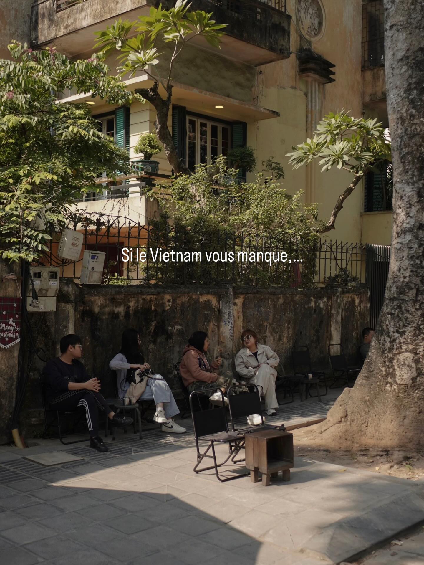 Un café de rue au Vietnam, à l’ombre des arbres